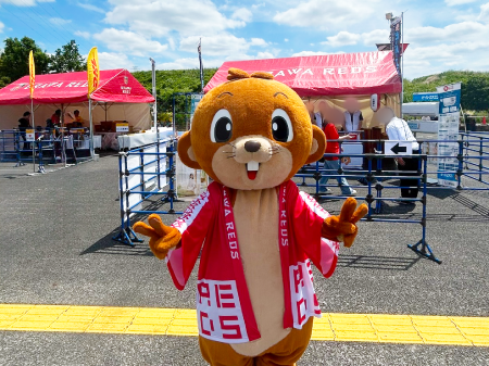 ビーバーくん