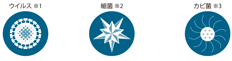 ウイルス　細菌　カビ菌
