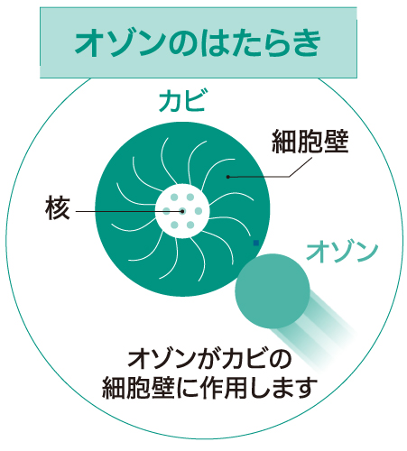 オゾンのはたらき